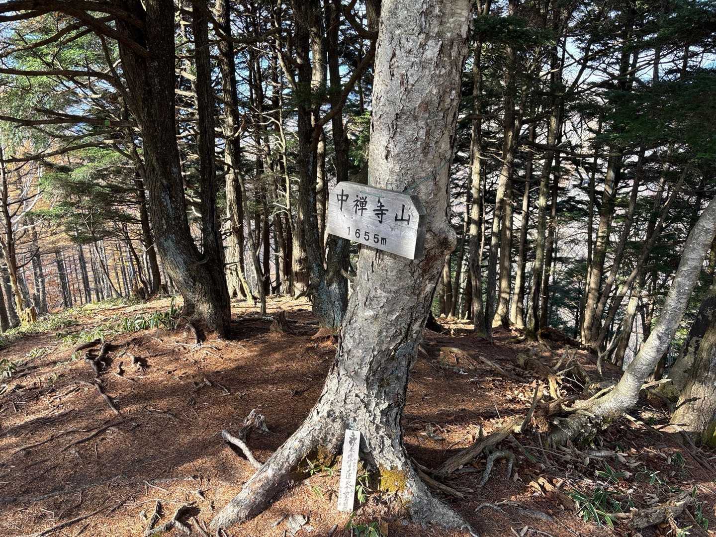 中禅寺山
