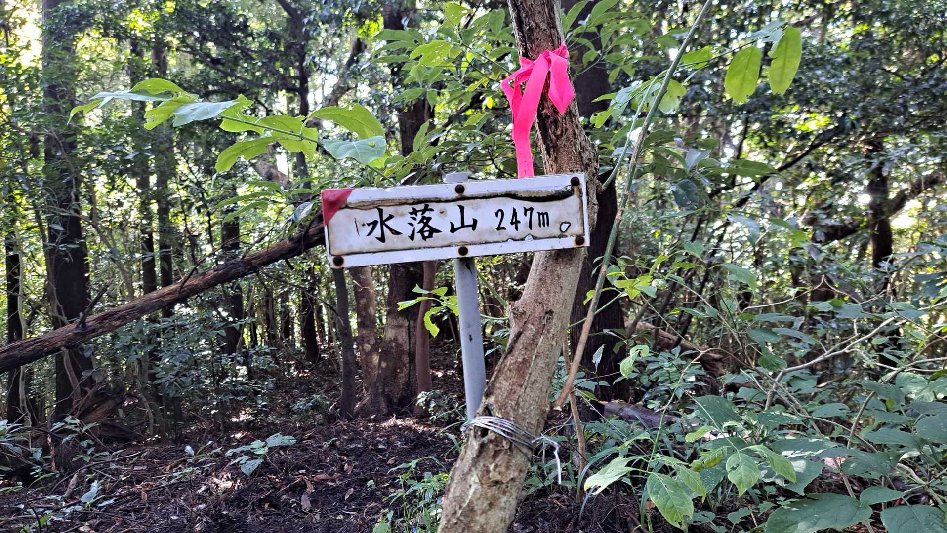 在自山から赤白の鳥居⛩️⛩️を先に行こうとしましたが晴れが続くと思っていたので周回することに！まさか後半小雨☔が降るとは😅
ここから、修行の始まり！
3座目、水落山初登頂⛰️
前日の大雨で足元がズルズル😆
何度も耐えていましたが、
とうとう