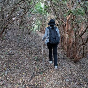 パノラマコースに向かって下山開始。なだらかな道あるじゃん😭