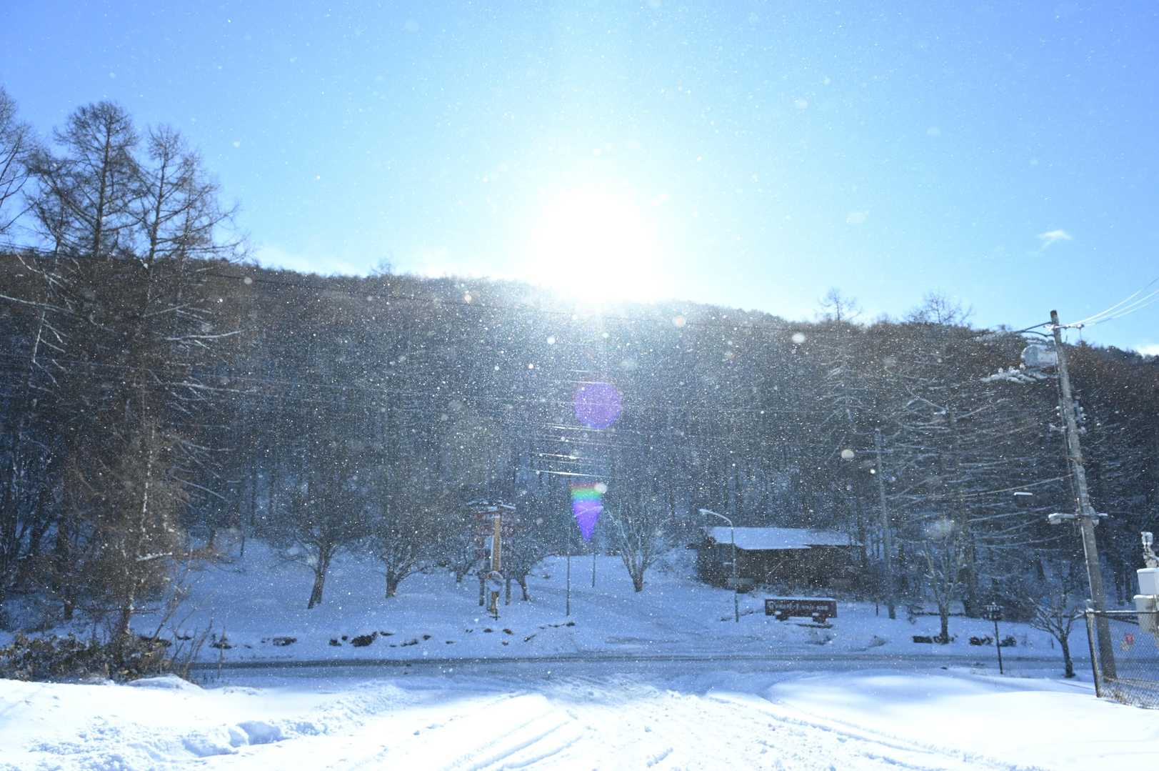 守屋山 | 八ヶ岳やアルプスを望む南アルプス最北端の展望峰は、諏訪大社の御神体山の写真