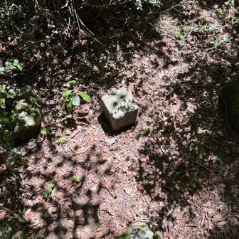 高山山頂