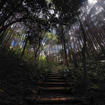 やっと山らしい景色になった