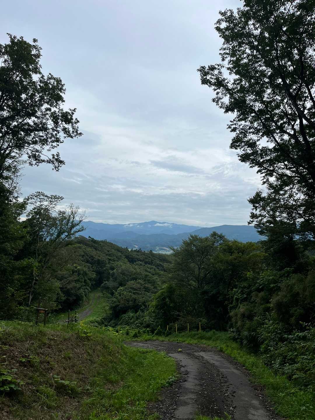 湯ノ沢岳