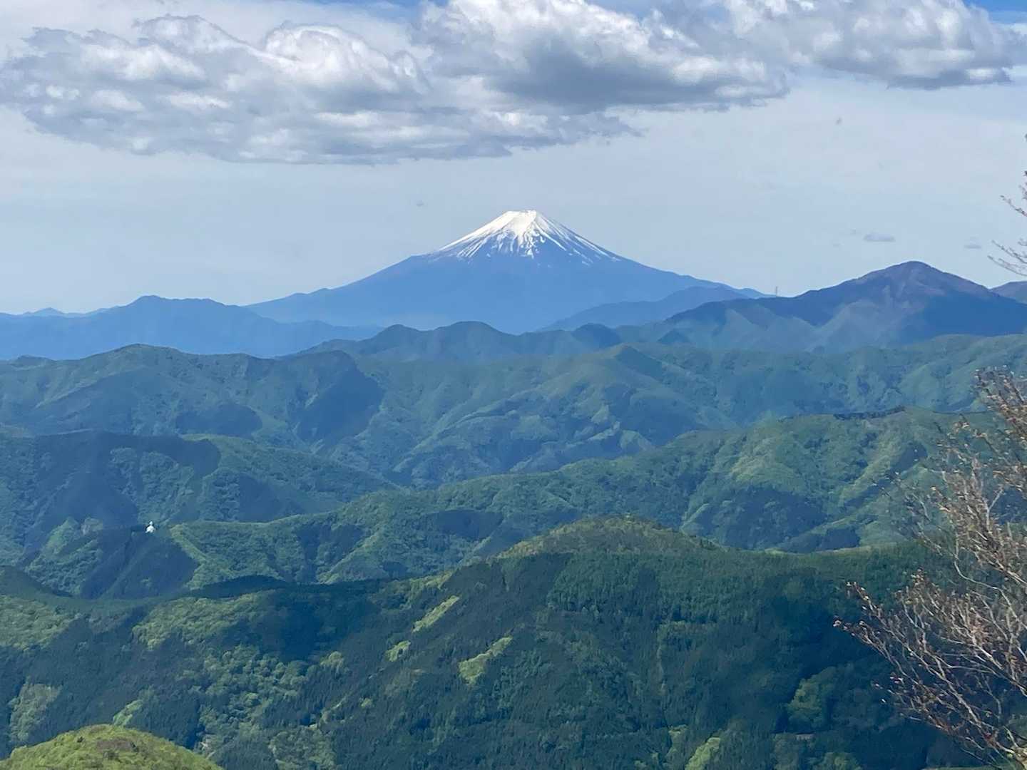 鷹ノ巣山 往復コースの写真