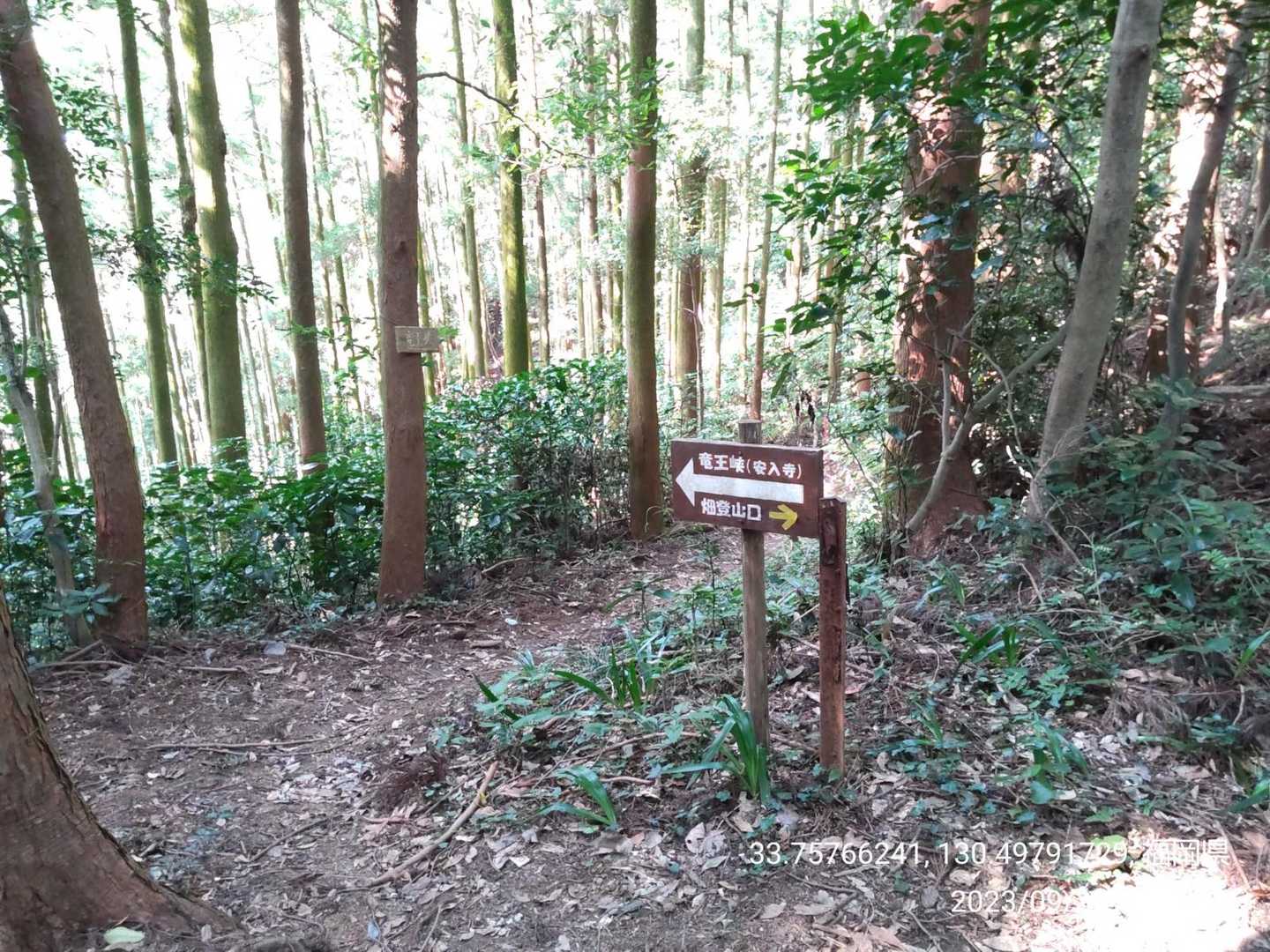 尺岳 往復コースの写真