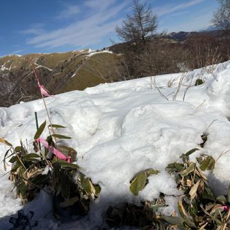 和田山から三峰山