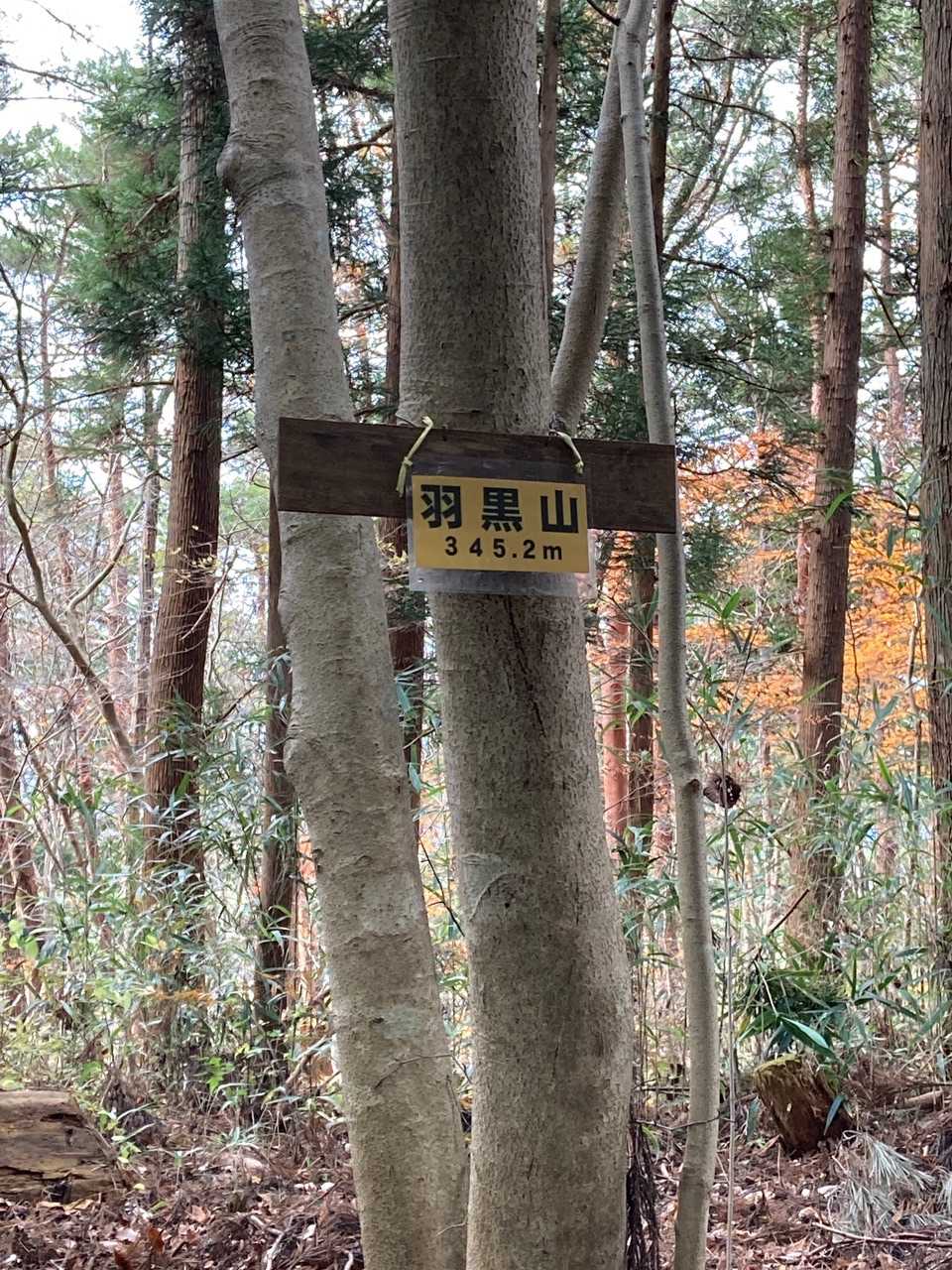 すぐ横