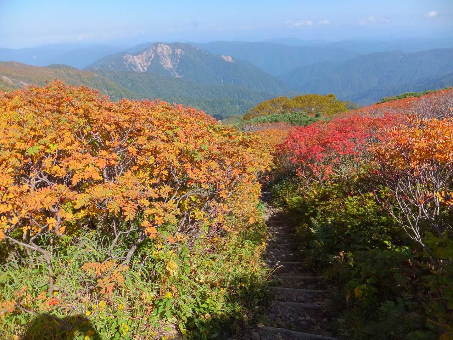 山肌を露出した気になる山