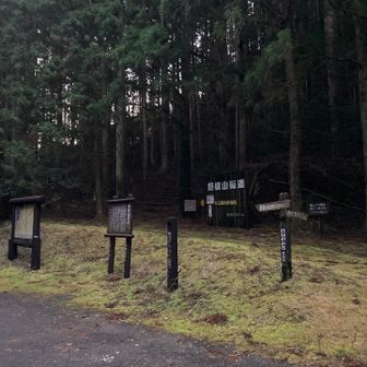 少し薄暗い中出発。
