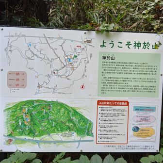 登る時に見ろ