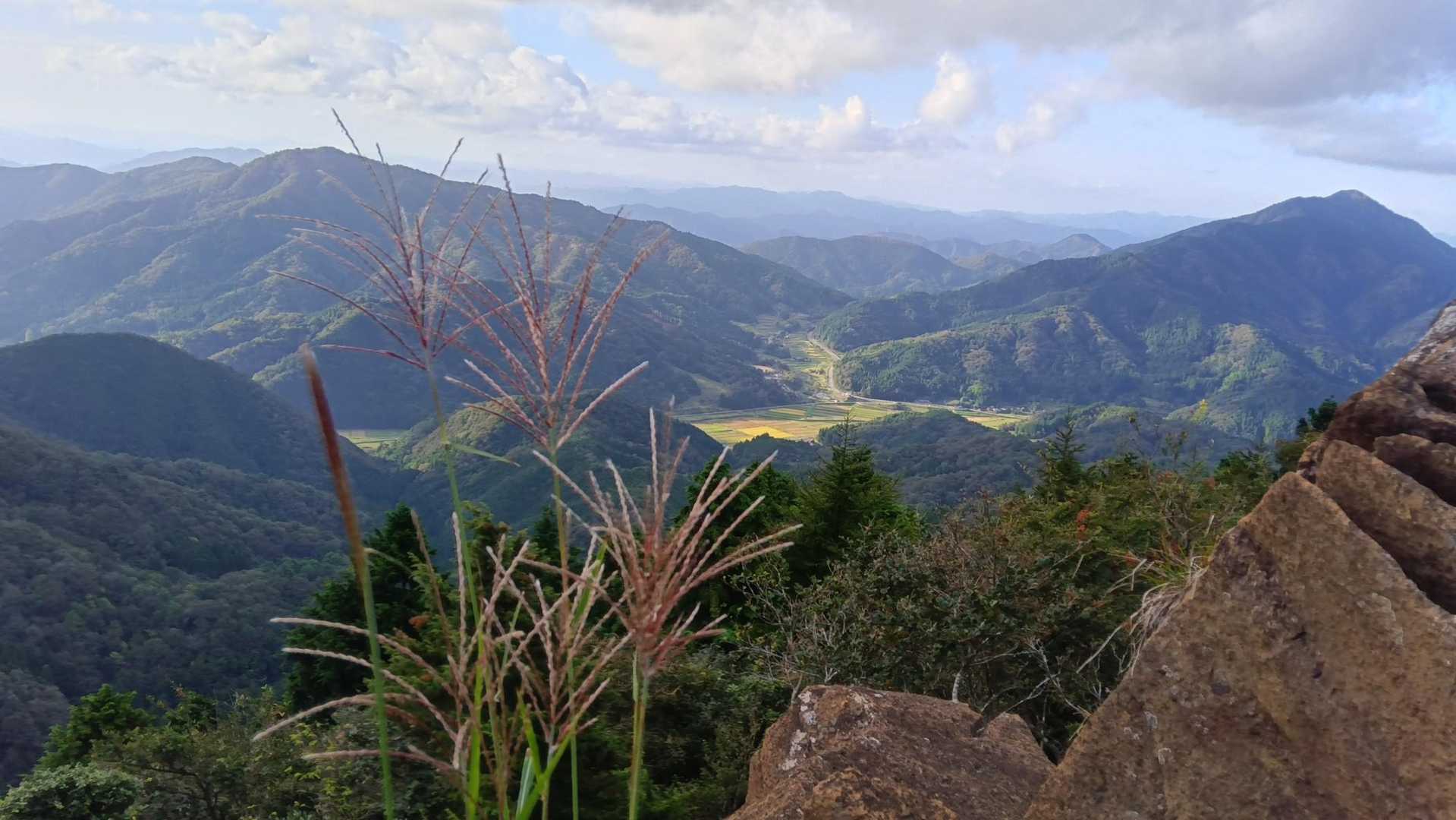 秋の山も大好きなのです🌾