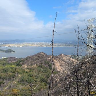 剣山北急斜面途中から望む児島湾。