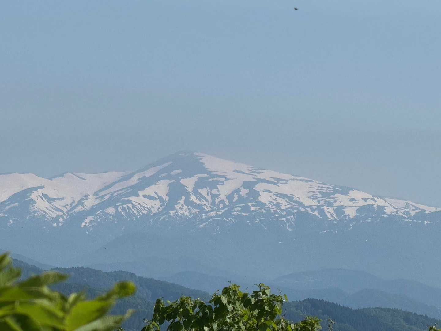 月山✨待っててね！
