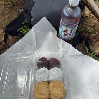 それでは休憩
餅の神田屋で買った秋のセット
粒あん、こしあん、きな粉のおはぎと
鳴門金時大福