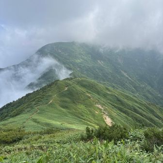三ノ峰から､別山が雲の中です。それにしても遠い｡