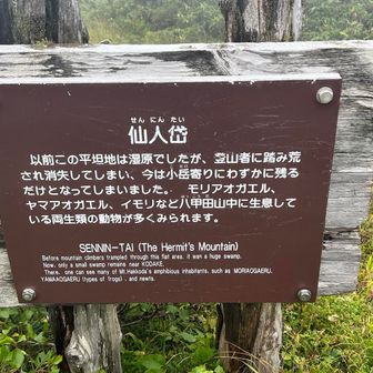 こちらから入山される方、本当に多かった。