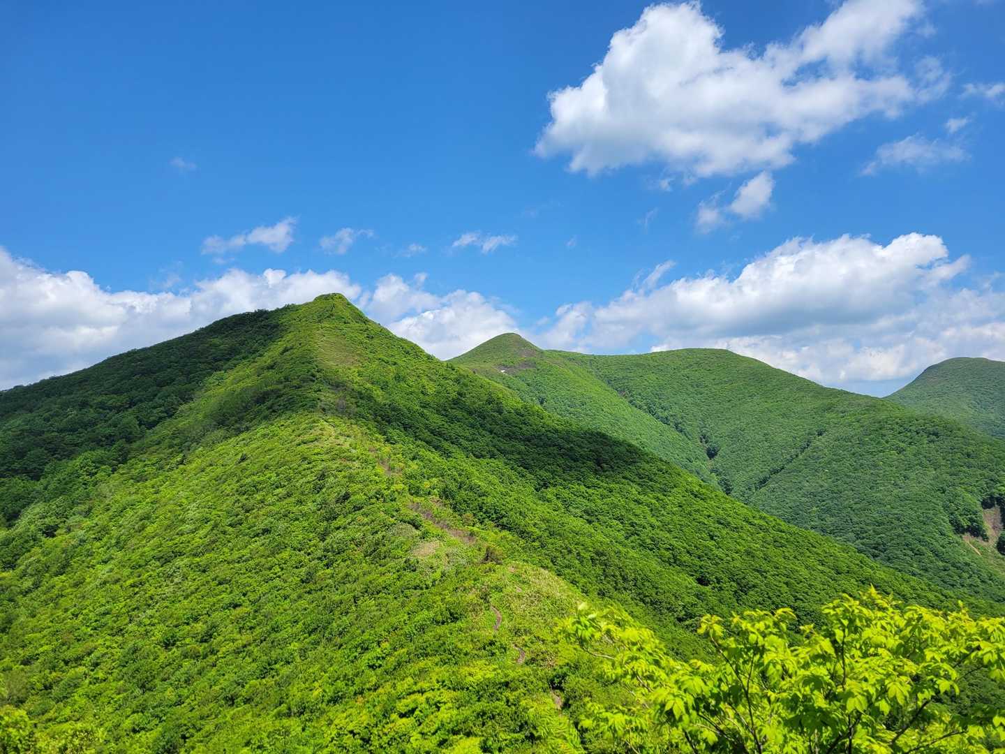 大関山-ハマグリ山-トンガリ山 往復コースの写真