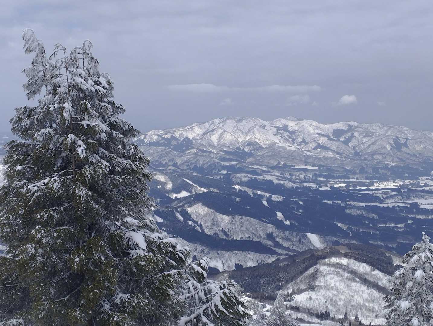 唐木峠-高落場山 往復コースの写真