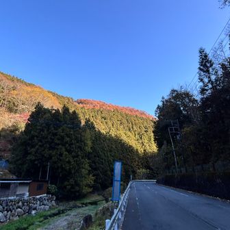 秩父華厳の滝へ行く道を逆に下る🛣️