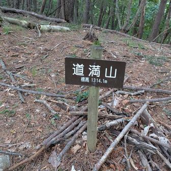 道満山を通過。見晴らしはありません