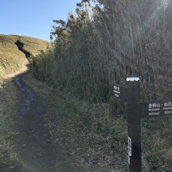 明神ヶ岳の分岐