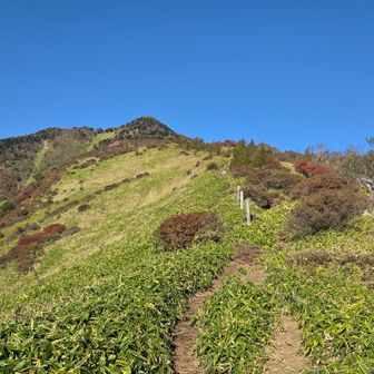 こんなルンルン道🎶を登って最後の赤薙山への山頂直下は日陰になり涼しい👍
左側が正規ルートぽいけど、右側に行っちゃった💦
でも、ロープがあるから道外れはしない👍