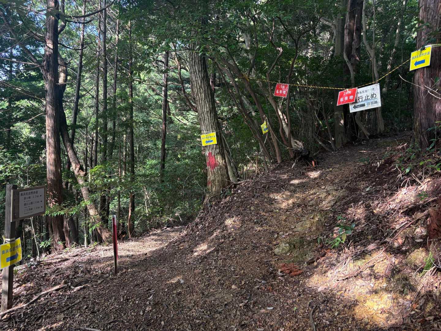 この先が通行止め🙅‍♀️
途中美術館があったからその私有地なのかな🤔
ここから先が長い🫠