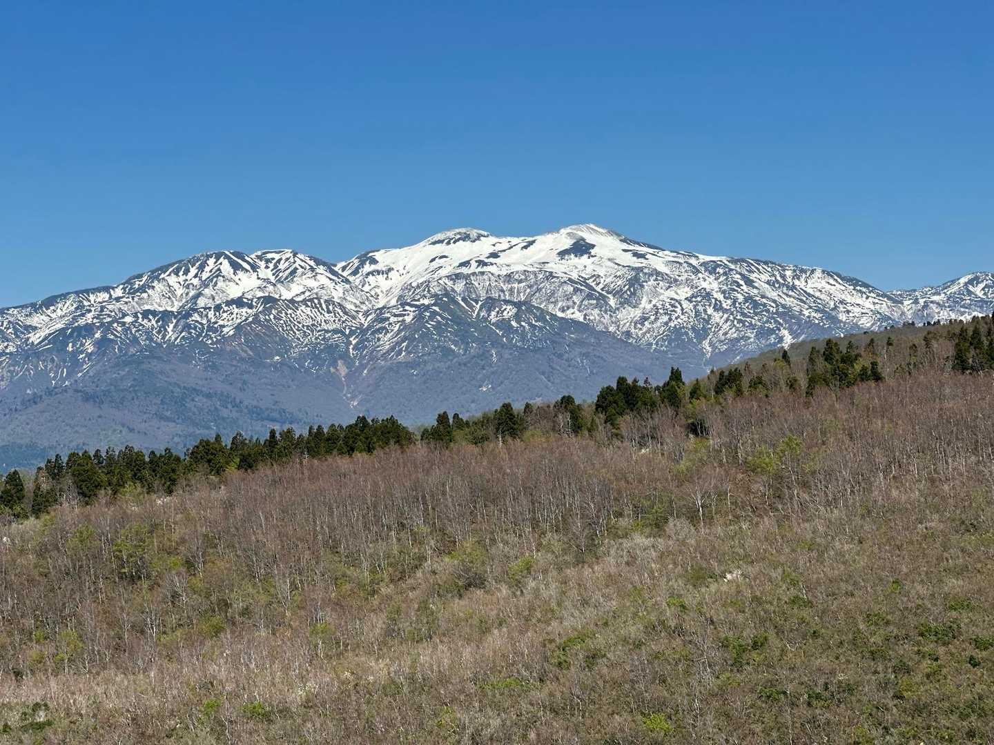 取立山周回 | 大滝からこつぶり山の白山展望へ、取立平に水芭蕉3,000株が咲くの写真