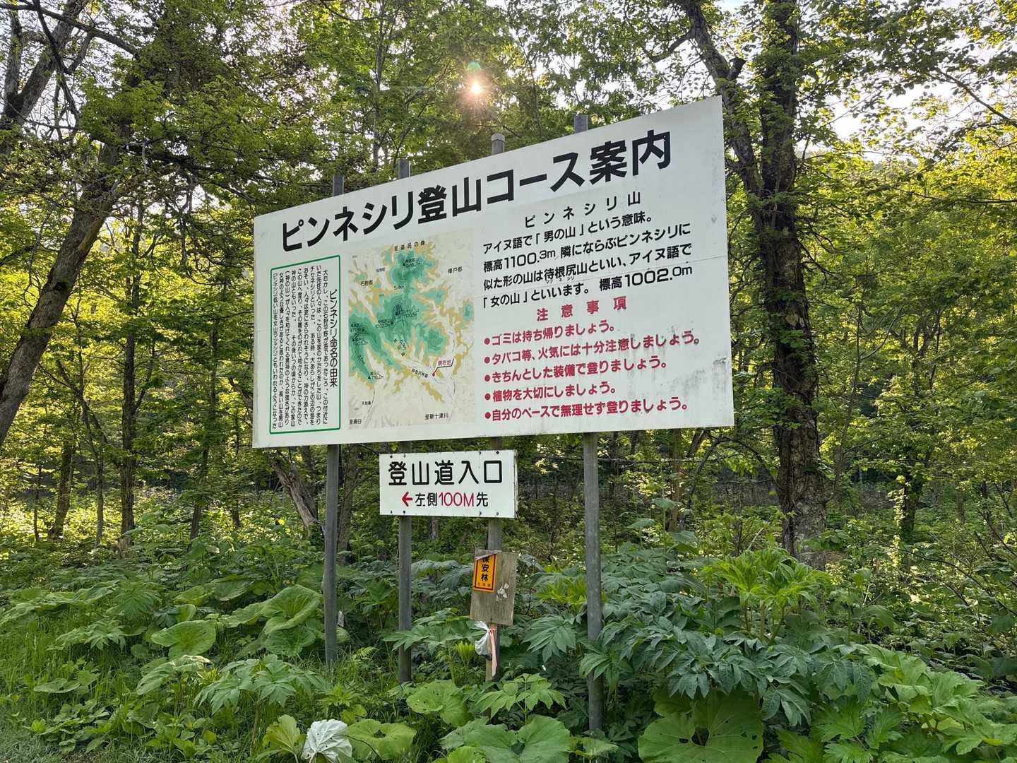 林道は段差があったりと走りにくい💦尖った石なんかも転がっているのでパンクにも注意ですね！