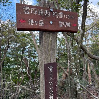 独標と名付けたのは愛工大のWV部なんだろうね☺️でもこれのせいでどれが雲母峰か判らなくなったw