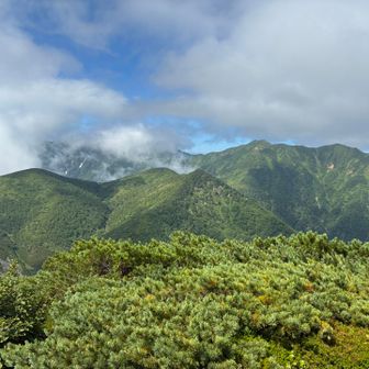 おそらく奥が石狩岳で手前が音更山(AR山ナビではトムラウシと出ましたがこんな近くないはず)
靴の水抜きに時間がかかったので、今日は石狩岳には行かず音更山までのんびり歩くことにします