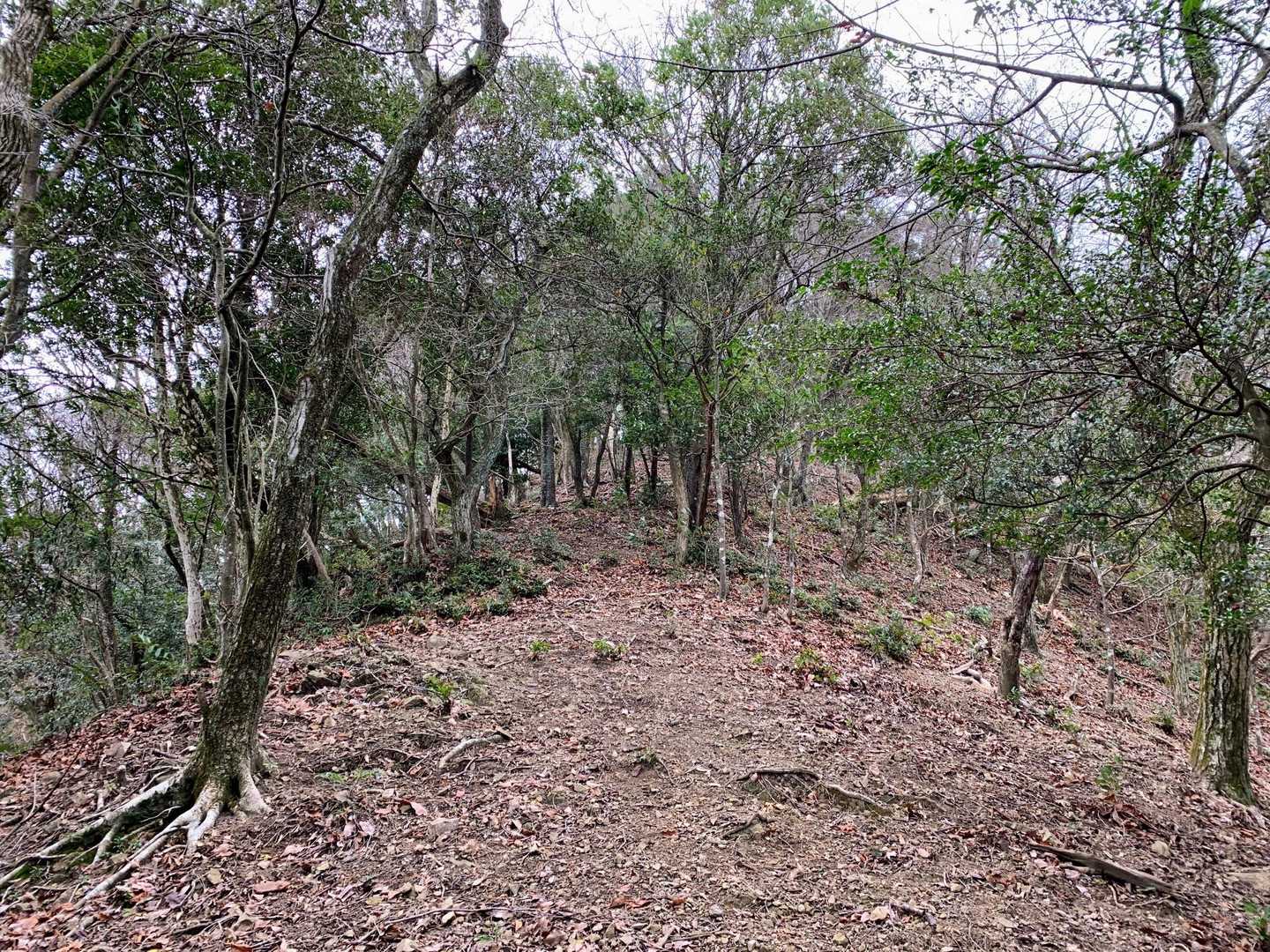 鎮南山登山口-鎮南山-姫岳 周回コースの写真