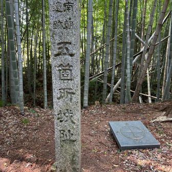 コース外れて城址🏯