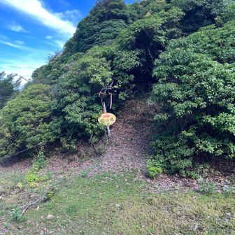 アセビのトンネル続きます
この辺りから家族の足があまり進まない😌涼しいけど登り続きで暑いそう🥵