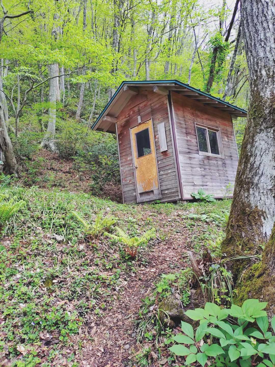 船通山 往復コースの写真