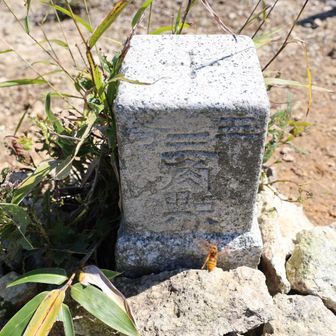 山頂には三等三角点もあります。