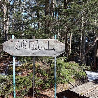 避難小屋からの獲得標高は170m程度。体感はその1.5〜2倍はある
ジムトレーナーに10回って言われたのにもっかいと連呼されて15回やらされるくらい辛い