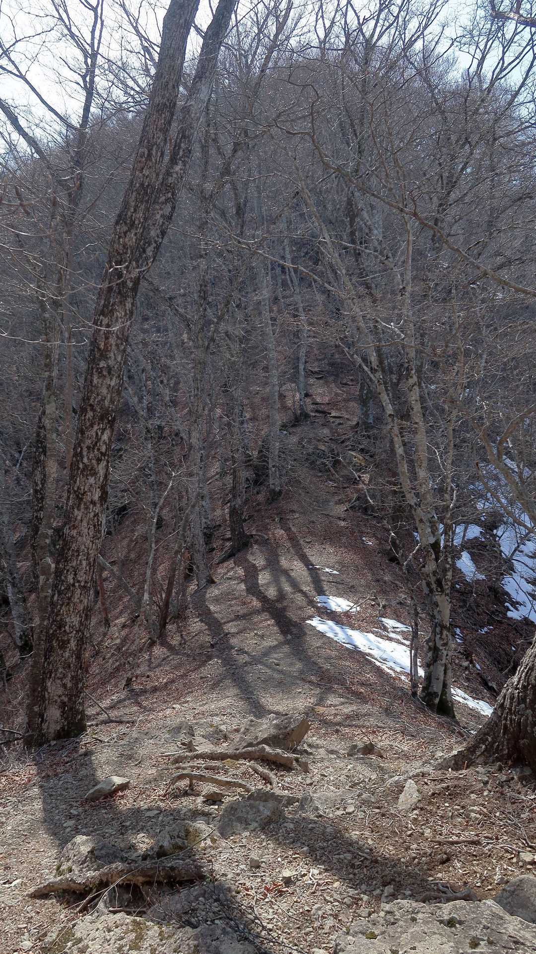 山頂付近で雪はこの程度