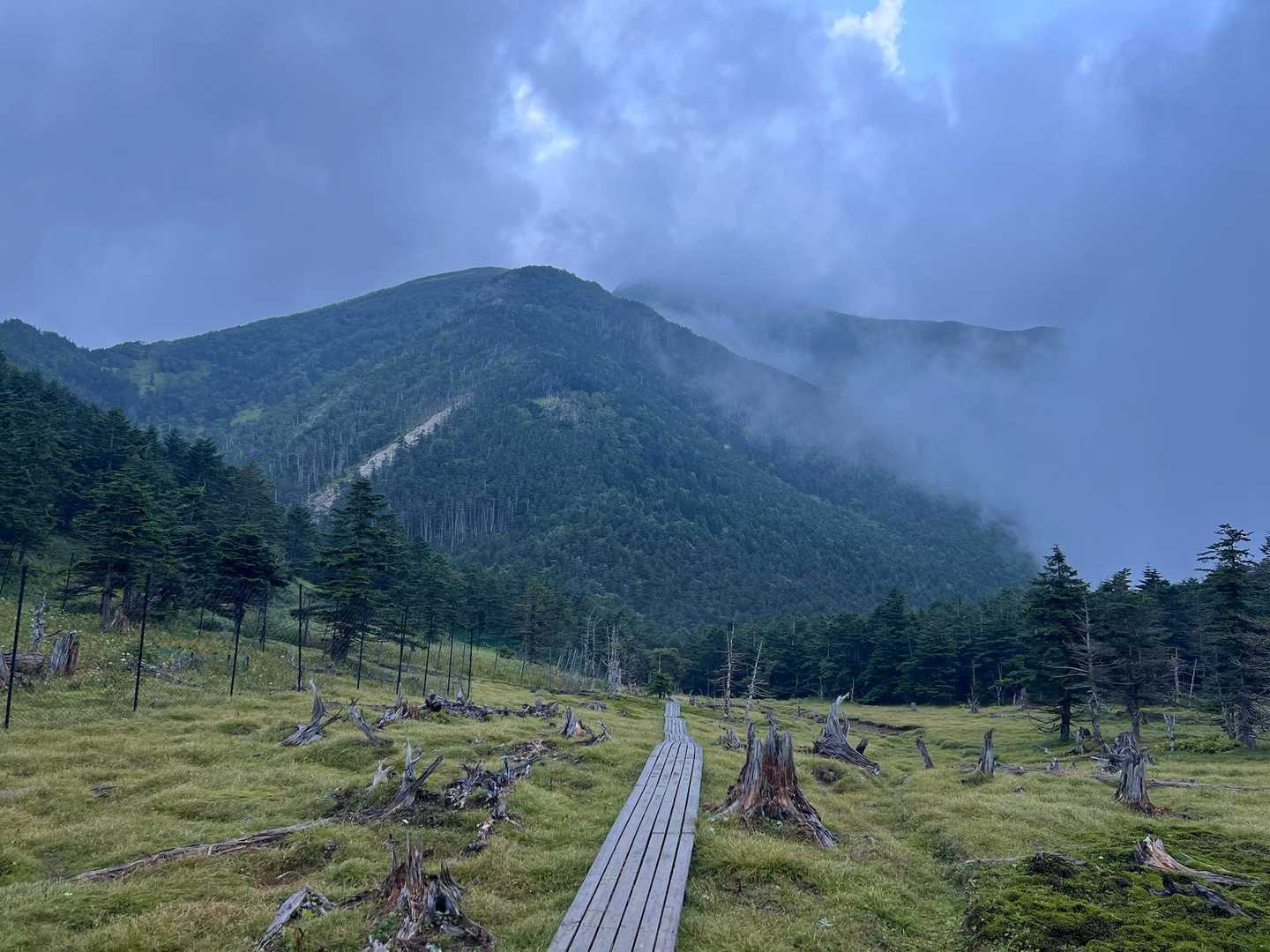 芝沢ゲート-易老渡-易老岳-三吉平-光岳-イザルガ岳-希望 周回コースの写真