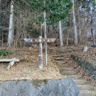 白石峠
ここからの登りがえぐい！！