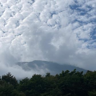 さっきまでいたと思うと感慨深い