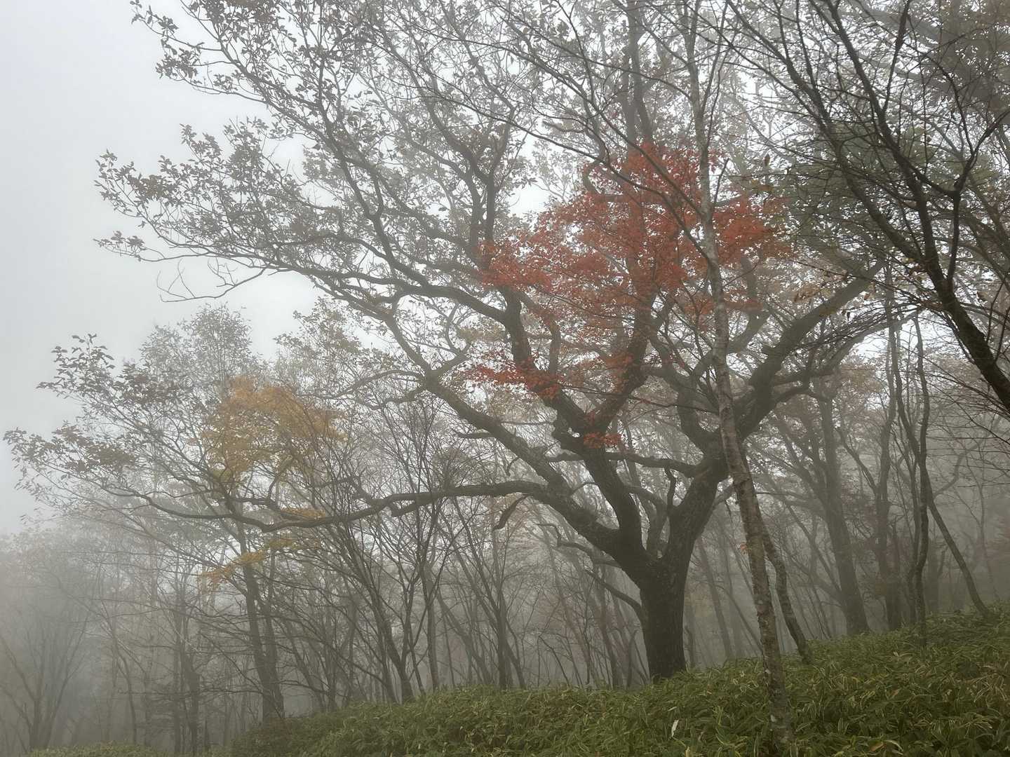 帰りはこんな感じ

最後までご覧いただきありがとうございました😊