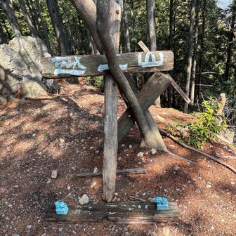 越上山(おがみやま)   埼玉百名山