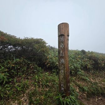 ⑮地神山