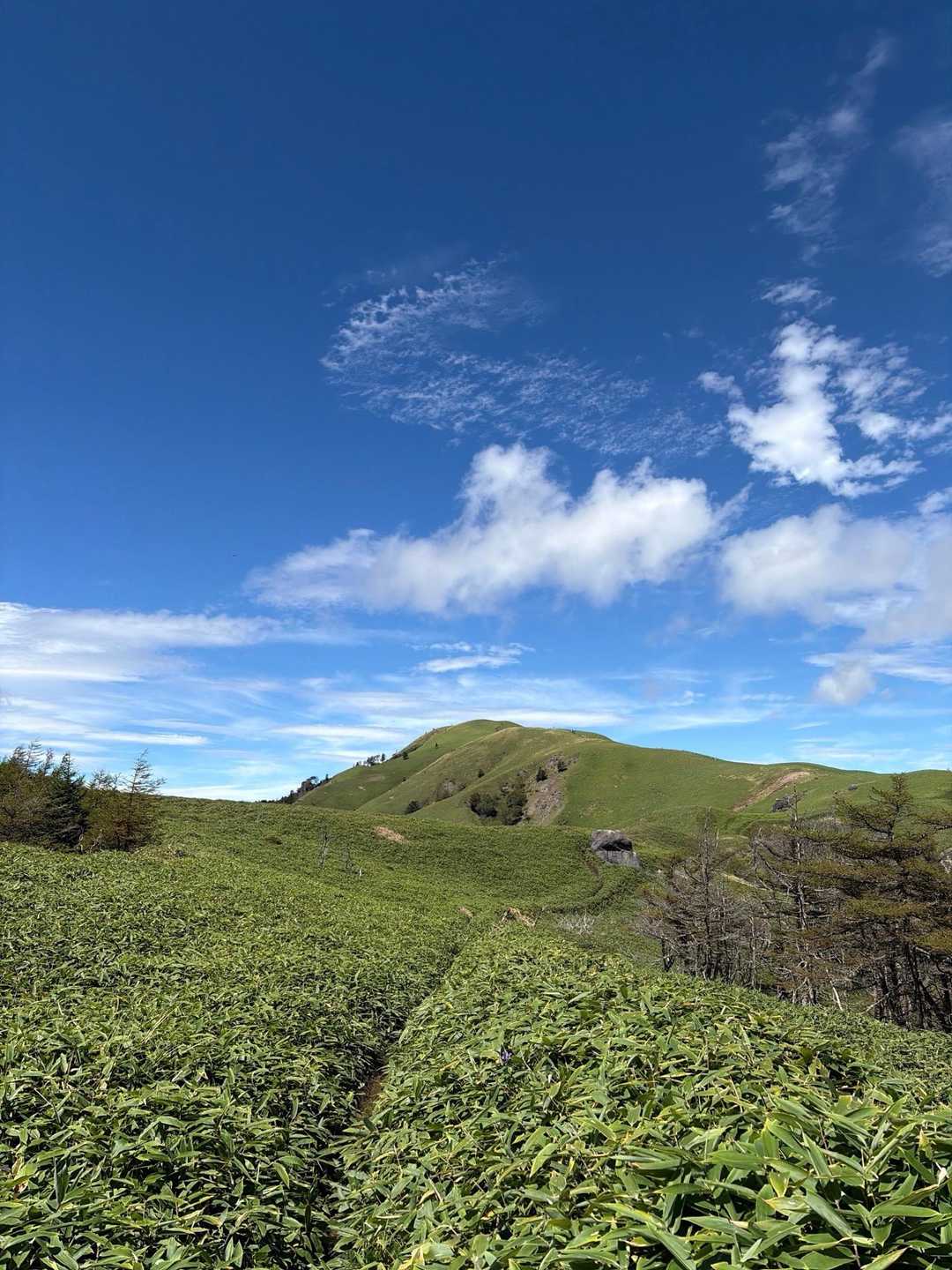 隠れた名峰⁇」三峰山へ / イッシーの登山データ | YAMAP / ヤマップ