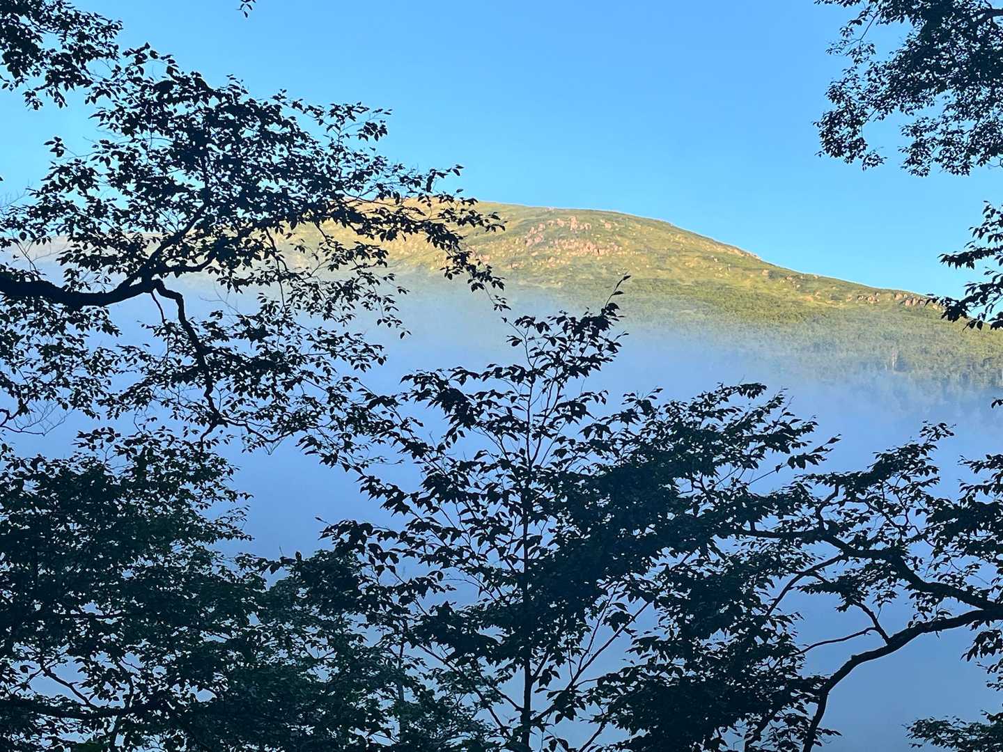 至仏山はモルゲンロートのようですが、ガスがいい感じに上がってきて幻想的でした