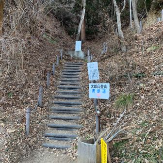 無事に下山。
masaさんと話しながら降りたので、あっという間。