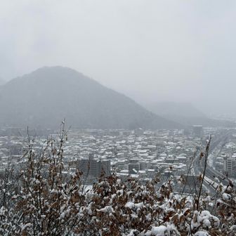 千歳山と国道13号線
