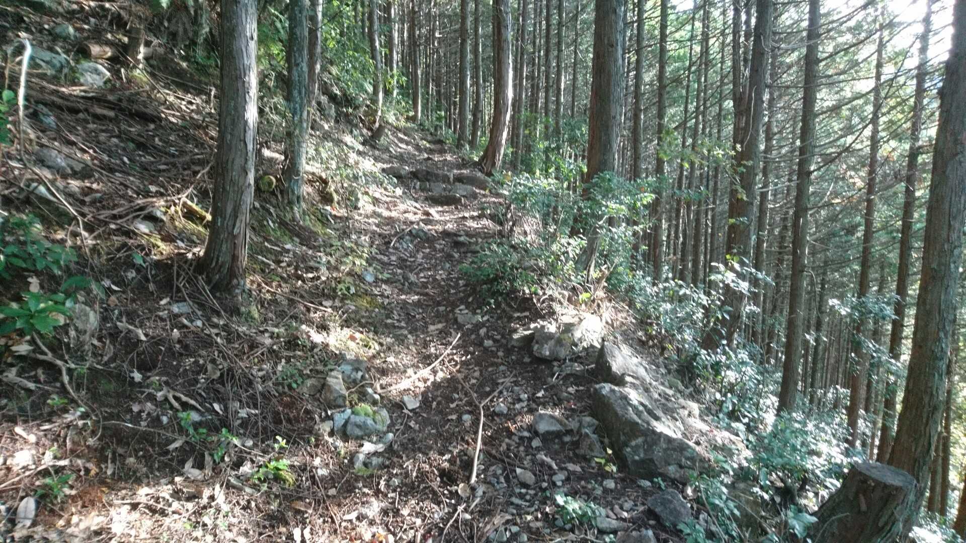 歩きやすい道が続く