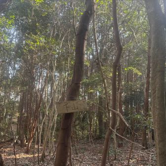 下山まで登山道がない西側を直登で時間短縮